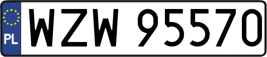 WZW95570