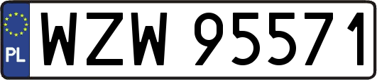 WZW95571
