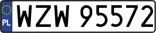 WZW95572
