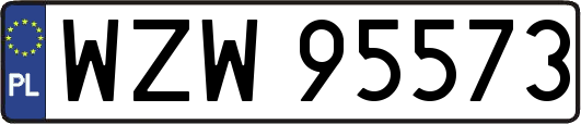 WZW95573