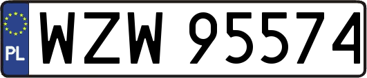 WZW95574