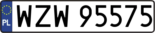 WZW95575
