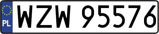 WZW95576