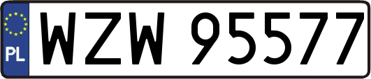 WZW95577