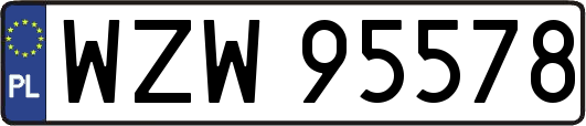 WZW95578