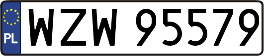 WZW95579