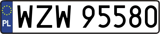 WZW95580