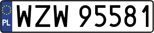 WZW95581