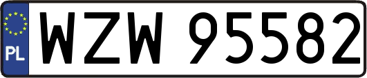 WZW95582
