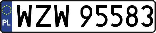 WZW95583