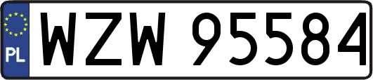 WZW95584