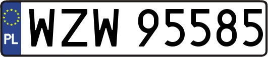 WZW95585