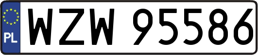 WZW95586