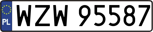 WZW95587