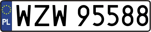 WZW95588