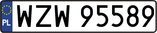 WZW95589