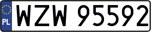 WZW95592