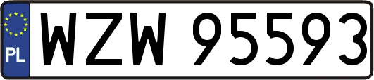 WZW95593