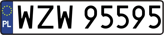 WZW95595
