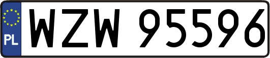 WZW95596