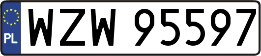 WZW95597
