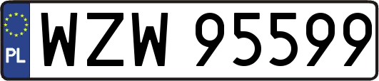 WZW95599