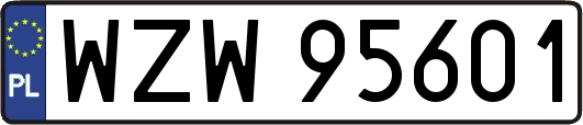 WZW95601