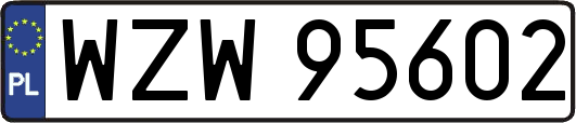 WZW95602