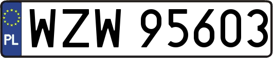 WZW95603