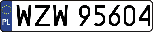 WZW95604