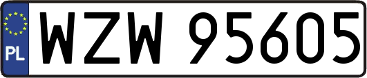 WZW95605