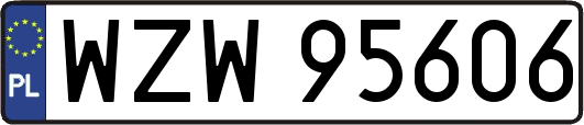 WZW95606