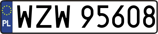 WZW95608