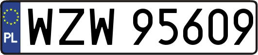 WZW95609