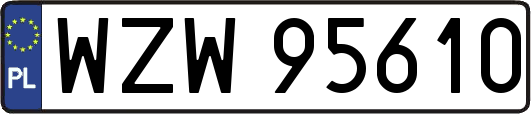 WZW95610