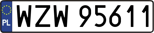 WZW95611