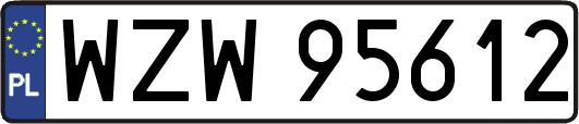 WZW95612