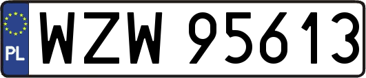 WZW95613