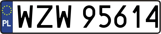 WZW95614