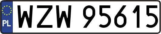 WZW95615