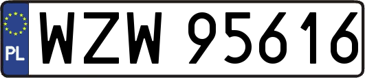 WZW95616