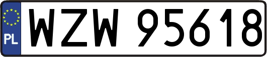 WZW95618
