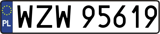 WZW95619