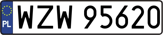 WZW95620