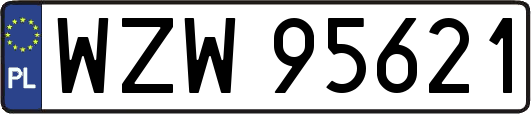 WZW95621