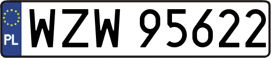 WZW95622