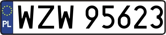 WZW95623