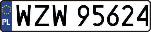 WZW95624