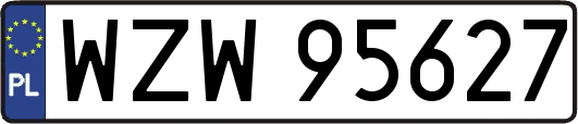 WZW95627