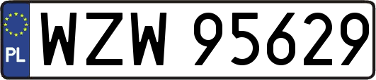 WZW95629
